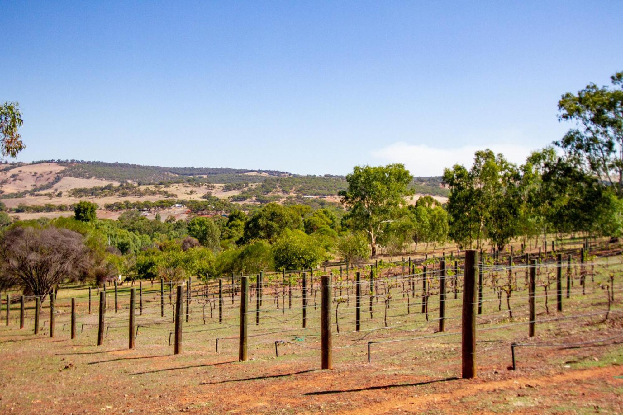 Pecan Hill Bnb Toodyay Exterior photo